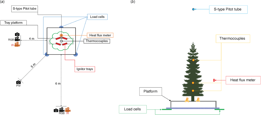 WF23131_F2.gif