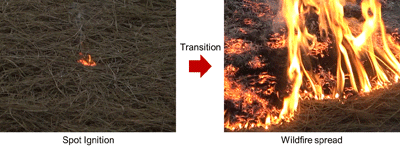 Photographs showing wildfire propagation from a spot ignition (left) to a wildfire (right).