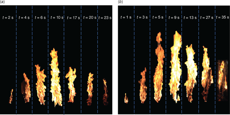 WF24030_F2.gif