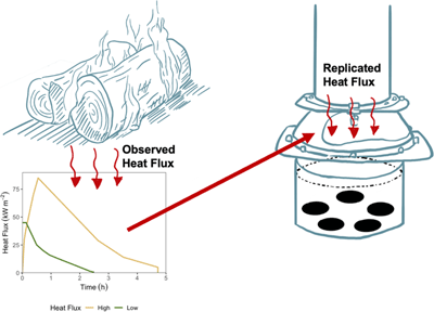 Observed heat flux data from burning logs is used to plot high and low heat flux profiles, which are then replicated using a cone calorimeter to simulate heat fluxes in a pyrocosm with five PyOM samples.