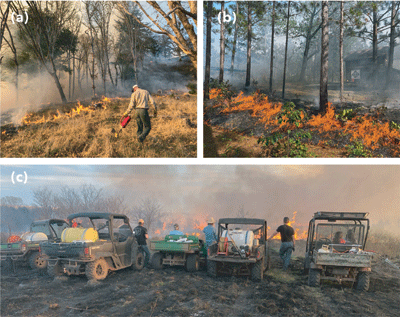 Three photos showing examples of PBA-led prescribed burns in the western US, southeastern US, and Great Plains.