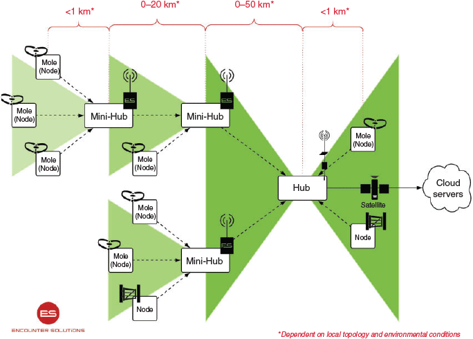 Efficacy of lethal-trap devices to improve the welfare of trapped wild dogs