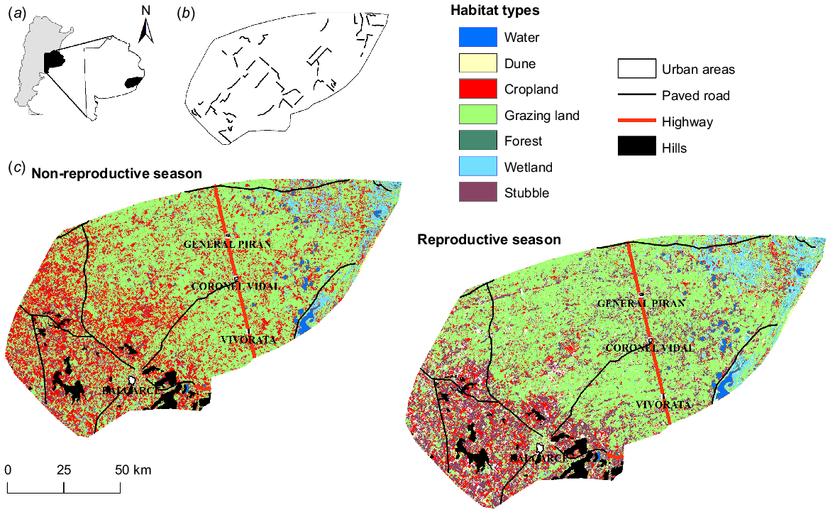 CSIRO PUBLISHING  Wildlife Research