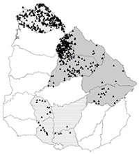 Map of Uruguay showing political divisions and the distribution of farms where wild boar presence was reported.