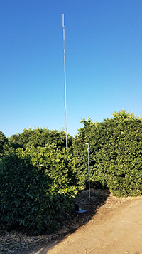 A photograph showing a node and SensorStation antenna used to track black rats in citrus orchards.