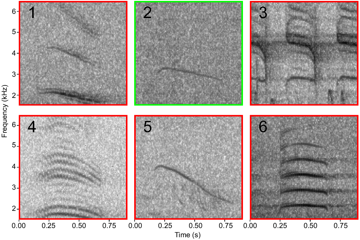 WR23151_F7.gif