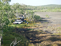 Field work with Elders, youth, and researchers during fauna survey.