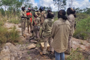 A photograph of Indigenous rangers setting bioacoustic surveying equipment on an on-ground site in Arnhem Plateau.