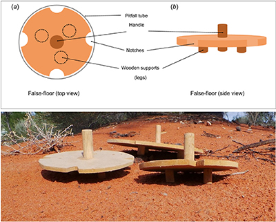 Illustration and photograph of wooden false-floors used in pitfall traps to reduce small mammal predation on reptiles.