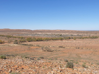 Spatial variation in soil and vegetation within a semi-arid habitat.